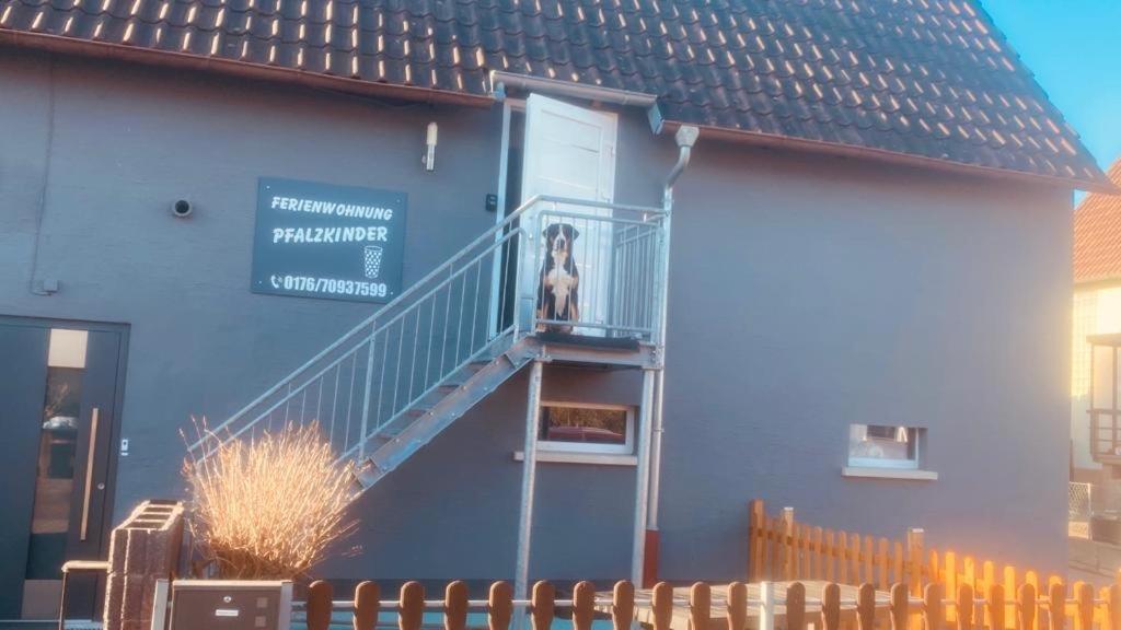 Pfalzkinder Neustadt an der Weinstraße Esterno foto